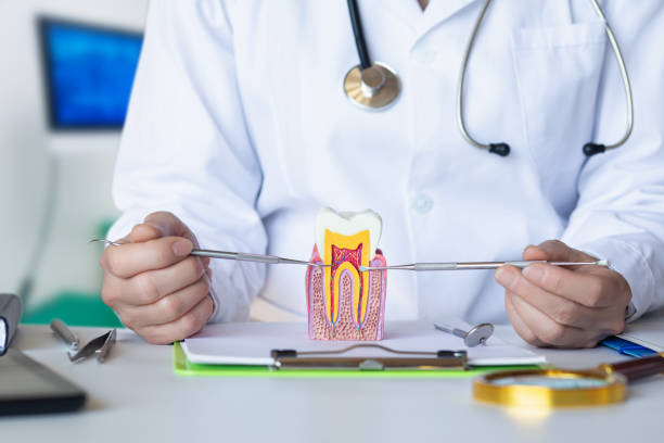 Best Emergency Dental Care for Abscessed Tooth in Binghamton University, NY